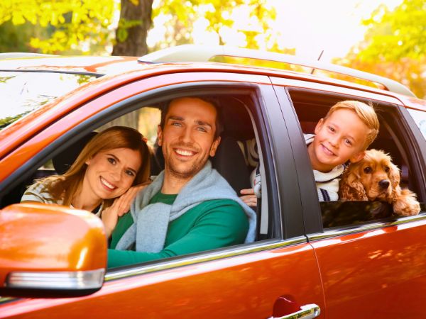 How American Families Can Unlock the Perfect Zimbabwe Adventure with the Right Car